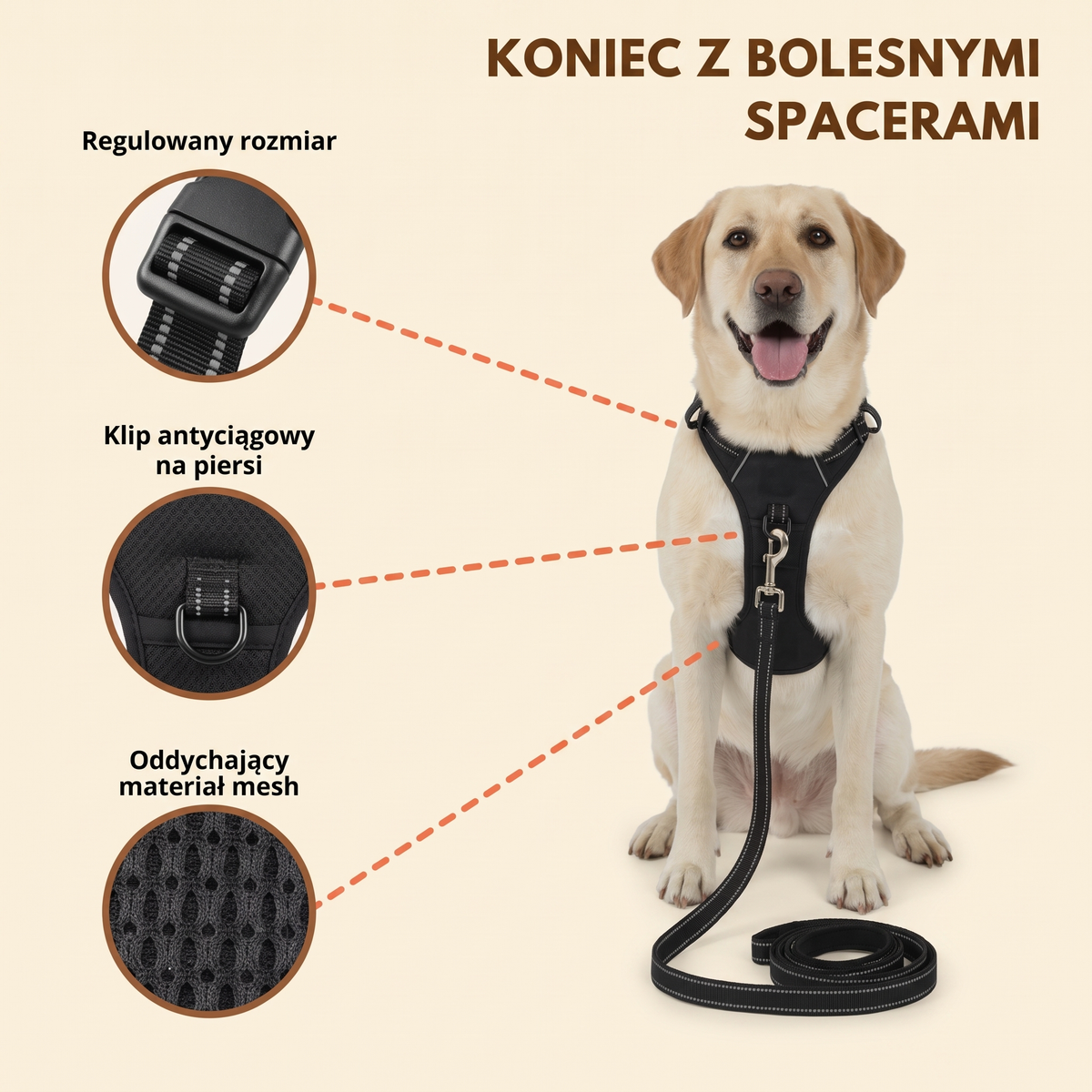 Koniec z bolesnymi spacerami - cechy szelek