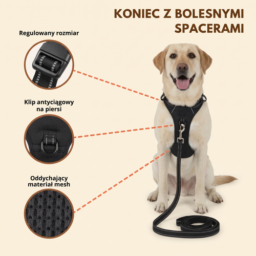 Koniec z bolesnymi spacerami - cechy szelek