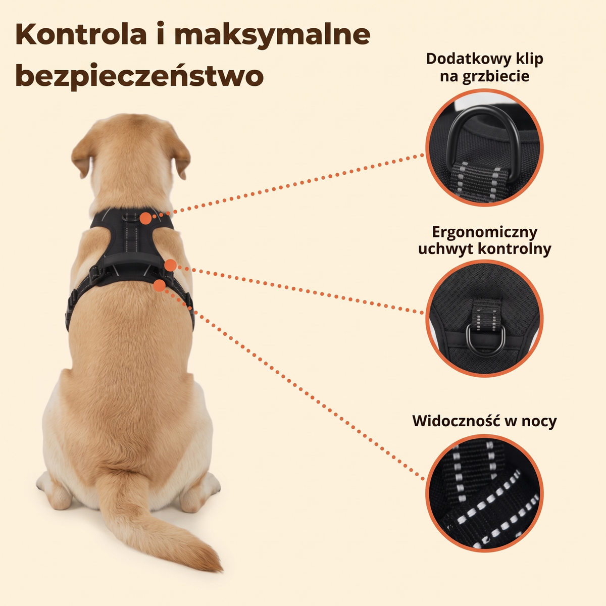Kontrola i maksymalne bezpieczeństwo - cechy szelek