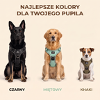 Najlepsze kolory dla Twojego pupila - czarny, miętowy, khaki